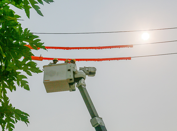 Đà Nẵng: Cảnh báo vi phạm hành lang an toàn lưới điện