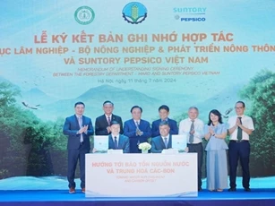 Hợp tác phát triển rừng bền vững, bảo tồn nguồn nước và trung hòa carbon