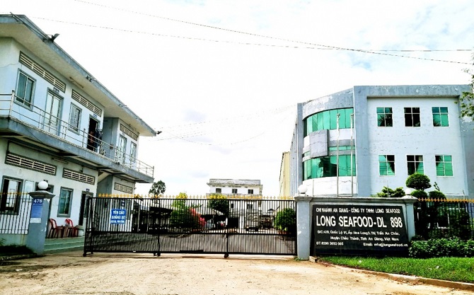 Doanh nghiệp đầu mối 'ôm' hàng chục tỷ bỏ trốn, nông dân nuôi cá tra khốn đốn