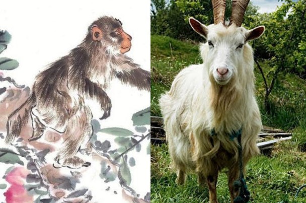 3 tháng tới hết khổ: 3 con giáp đổi vận may mắn, tài lộc như ý, hưởng phúc trọn vẹn