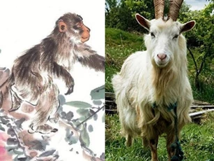 3 tháng tới hết khổ: 3 con giáp đổi vận may mắn, tài lộc như ý, hưởng phúc trọn vẹn