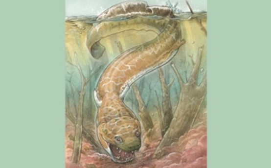 Phát hiện quái vật đầm lầy khổng lồ, cổ đại hơn cả khủng long