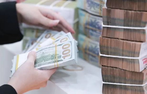 Kỳ vọng tỷ giá sẽ hạ nhiệt trong nửa sau của năm 2024