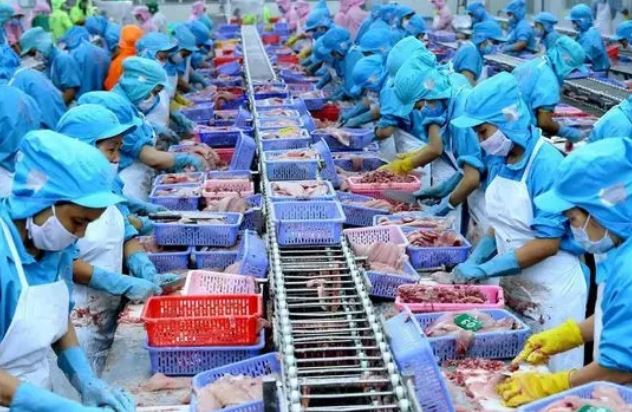 Phó Thủ tướng chỉ đạo tháo gỡ khó khăn cho các doanh nghiệp thủy sản