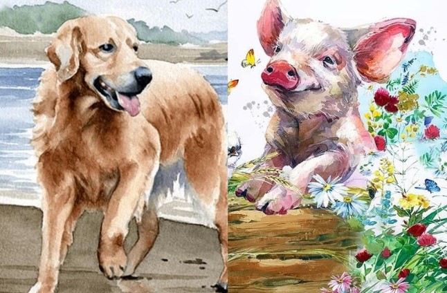 Tử vi 12 con giáp ngày 17/7: Dậu may mắn, Mùi ổn định