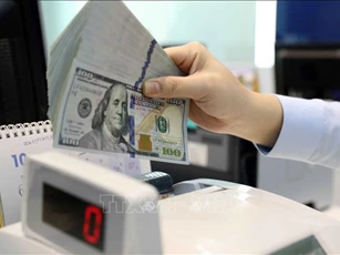 Lượng kiều hối đổ về TP Hồ Chí Minh tăng gần 20%