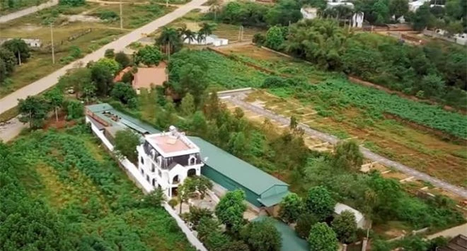 Hình ảnh