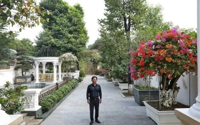 Hình ảnh
