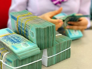 Đồng Nai công khai hơn 250 doanh nghiệp, cá nhân nợ thuế