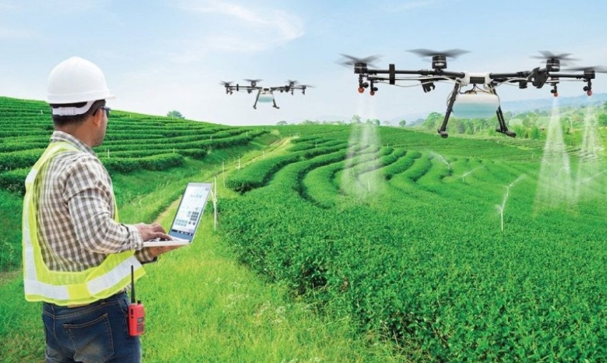 Những điểm nghẽn khoa học công nghệ trong lĩnh vực nông nghiệp