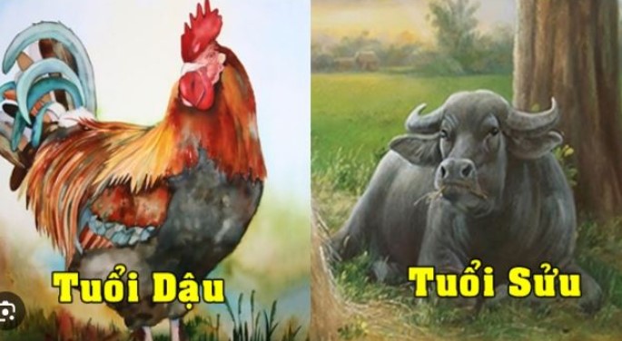 Top 3 tuổi giàu nhất tháng 8 dương: Vận đỏ như son, tiền tiêu không xuể