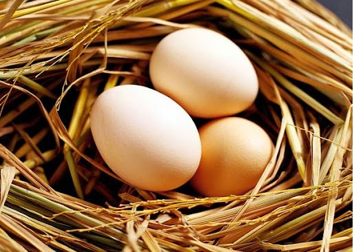 Một số bài thuốc hay từ trứng gà giúp điều trị chứng kinh nguyệt không đều ở phụ nữ