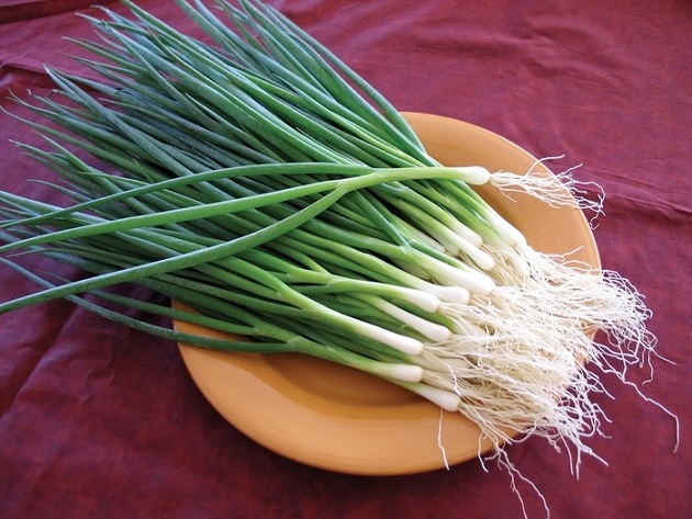 8 lợi ích của hành lá khiến bạn muốn ăn chúng mỗi ngày