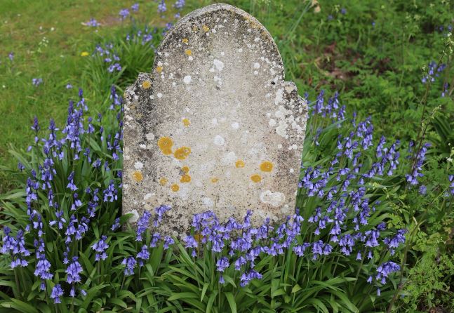 Nghi lễ an táng người quá cố có từ khi nào?