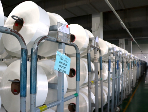 Sợi Thế Kỷ lần đầu báo lỗ kể từ quý IV/2016