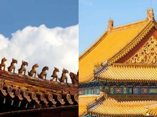 Tại sao trên nóc Tử Cấm Thành không bao giờ dính 'phân chim', nghe hướng dẫn viên giải thích càng khâm phục trí tuệ của người xưa.