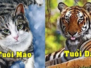 Top 3 tuổi nghênh đón Thần Tài, giàu lên bất chấp trong tháng 7 cô hồn