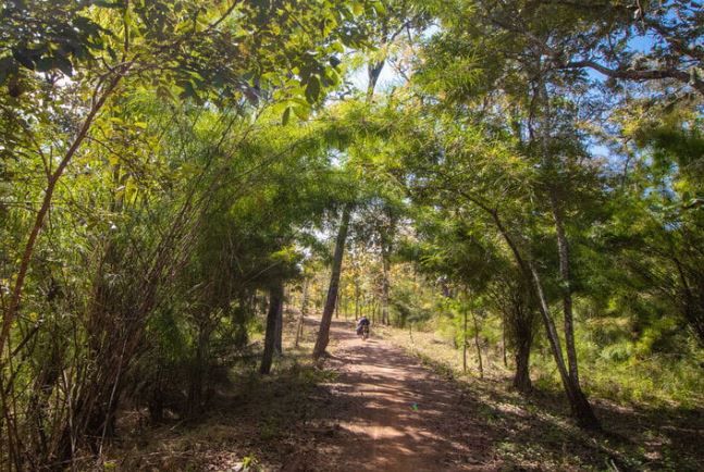 Hành trình khám phá Yok Đôn - Đăk Lăk