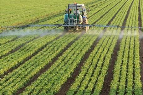 Cần "sếu đầu đàn" để phát triển nông nghiệp công nghệ cao