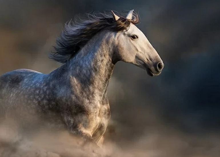 Sứ giả gửi tin tốt lành cho 3 con giáp trong tháng 8: Vận may cận kề, tiền bạc đầy túi, tình đầy tim