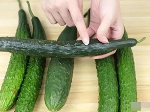 Dưa chuột nên mua thẳng hay cong? 4 lời khuyên từ người trồng rau dành cho bạn