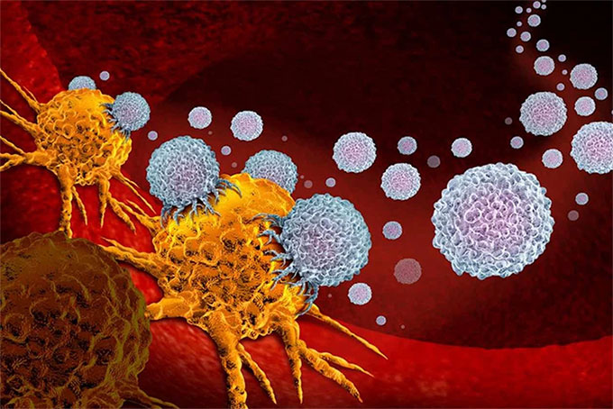 Phát hiện quan trọng mở ra hy vọng chữa ung thư tuyến tụy