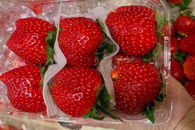 D&#xE2;u t&#xE2;y chua chua, ng&#x1ECD;t ng&#x1ECD;t, gi&#xE0;u dinh d&#x1B0;&#x1EE1;ng nh&#x1B0;ng 3 nh&#xF3;m ng&#x1B0;&#x1EDD;i n&#xE0;y &#x111;&#x1B0;&#x1EE3;c khuy&#x1EBF;n c&#xE1;o kh&#xF4;ng n&#xEA;n &#x103;n