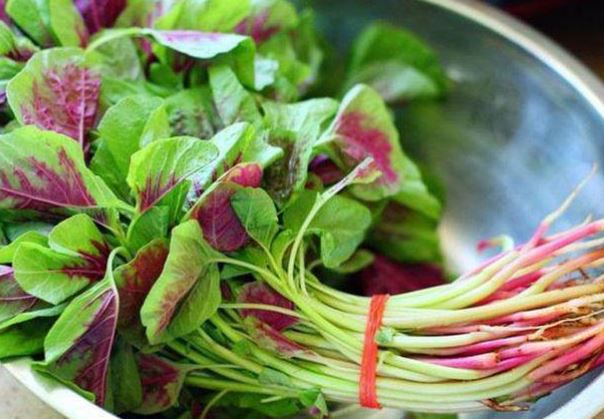 Loại rau có hàm lượng dinh dưỡng gấp 5 lần thịt, còn được mệnh danh là 'thần dược' trường thọ