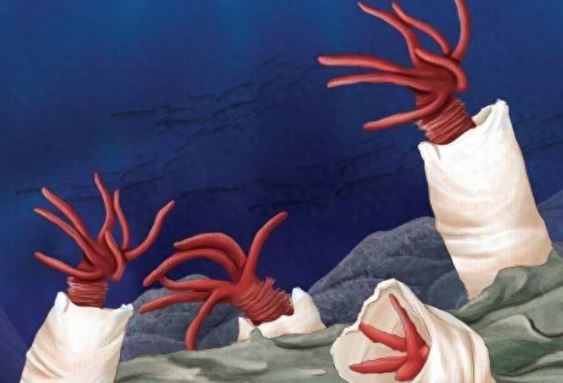 S&#x1EED;ng s&#x1ED1;t v&#x1EDB;i lo&#xE0;i sinh v&#x1EAD;t ch&#x1ECB;u nhi&#x1EC7;t t&#x1ED1;t nh&#x1EA5;t th&#x1EBF; gi&#x1EDB;i: S&#x1ED1;ng s&#xF3;t h&#x1A1;n 3 ng&#xE0;y m&#xE0; kh&#xF4;ng c&#x1EA7;n oxy