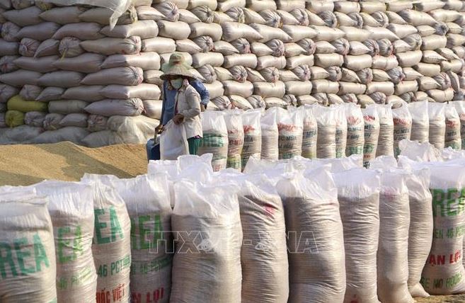 Những diễn biến mới nhất trên thị trường gạo châu Á