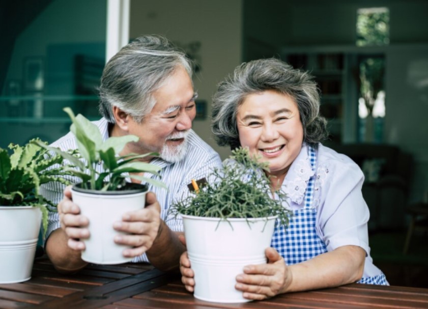 Con dâu xây nhà cho vợ chồng tôi, ngày vào nhà mới, biết số tiền con bỏ ra mà tôi sững sờ