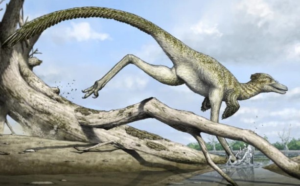 "Rồng cát” 72 triệu năm tuổi lộ diện giữa sa mạc Mông Cổ