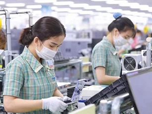 Gần 18.000 doanh nghiệp rút lui khỏi thị trường mỗi tháng