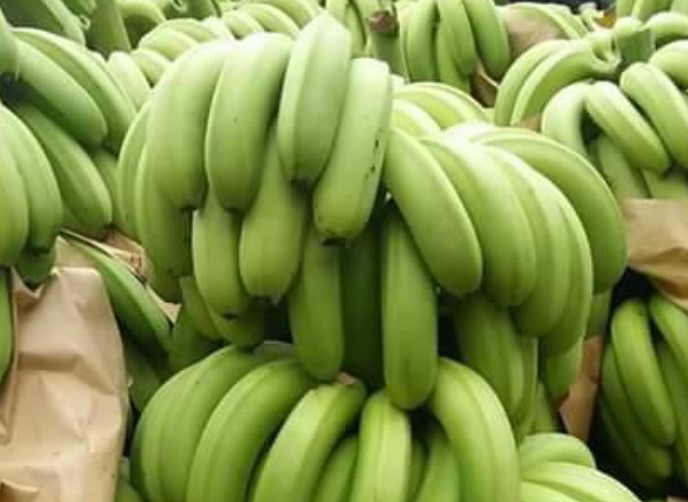 Công nghệ mới chuyển đổi chất thải nông nghiệp thành năng lượng sạch