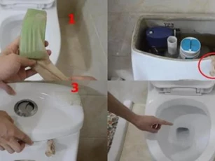 Tất cũ đừng vứt đi, tận dụng bỏ vào bồn cầu, lợi ích bất ngờ, không biết quá phí