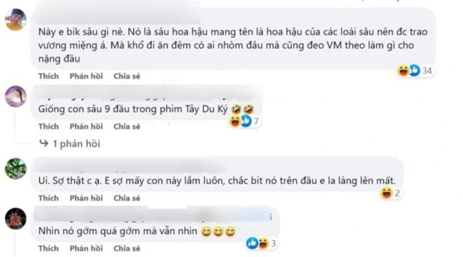 sâu Hoa hậu 4