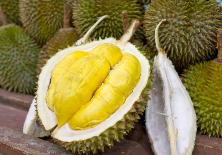 Chọn sầu riêng ngon dựa vào gai dày, gai thưa hay gai nhọn?