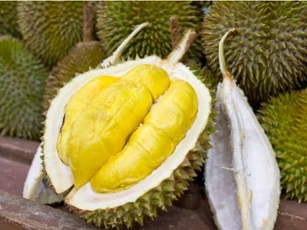 Chọn sầu riêng ngon dựa vào gai dày, gai thưa hay gai nhọn?