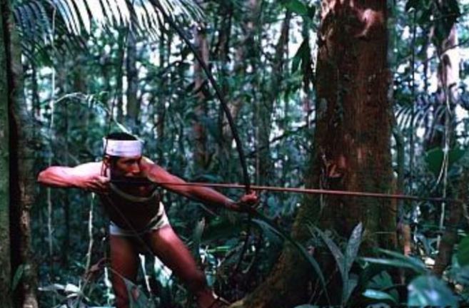 Bộ lạc sử dụng chất kích thích trước khi đi săn, tỉnh táo đến tận vài ngày; tất cả dân làng đều có chung huyết thống