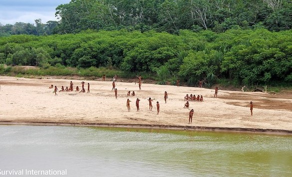 X&#xF4;n xao v&#x1EC1; b&#x1ED9; t&#x1ED9;c t&#xE1;ch bi&#x1EC7;t v&#x1EDB;i th&#x1EBF; gi&#x1EDB;i xu&#x1EA5;t hi&#x1EC7;n b&#xEA;n b&#x1EDD; s&#xF4;ng &#x1EDF; Peru