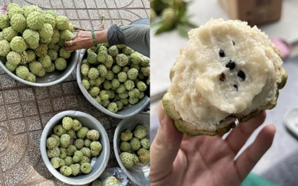 &#x110;&#x1EB7;c s&#x1EA3;n L&#x1EA1;ng S&#x1A1;n si&#xEA;u gi&#xE0;u 2 lo&#x1EA1;i vitamin d&#x1B0;&#x1EE1;ng tr&#x1EAF;ng da, t&#x103;ng collagen l&#x1EA1;i c&#xF2;n t&#x1ED1;t cho x&#x1B0;&#x1A1;ng kh&#x1EDB;p, tr&#xED; n&#xE3;o