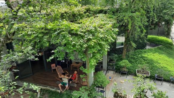 Thiết kế nhà ngập tràn không gian xanh như khu rừng nhiệt đới của cặp vợ chồng trẻ ở Nghệ An