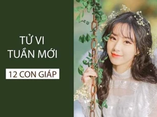Tử vi tuần mới (5/8 - 11/8/2024): top 3 con giáp vận trình khai thông, tài lộc sung túc, gặp nhiều may mắn, thu hái bội tiền