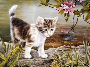 5 con giáp không nên đi đêm trong tháng cô hồn vì dễ gặp vận xui, rước hoạ vào nhà