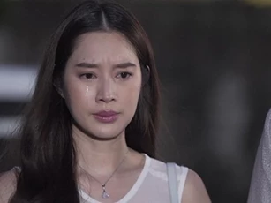 Chồng đột nhiên mang con mèo về nuôi trong phòng riêng, nửa đêm nghe anh khóc nấc tôi bàng hoàng bủn rủn