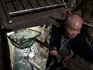 Nằm mơ thấy kho báu dưới nhà, người đàn ông quyết đào hố, không ngờ tìm thấy sông cá ngầm quý hiếm ọc lên