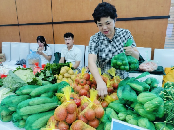 Doanh nghiệp lúng túng trước các quy định thị trường