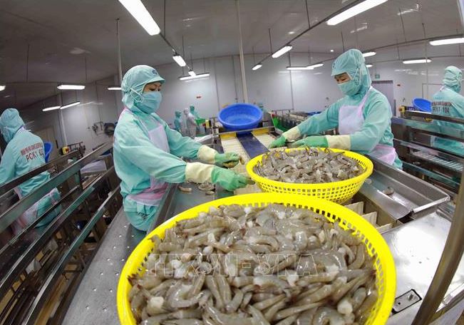 Xuất khẩu tôm đổi hướng thị trường những tháng cuối năm