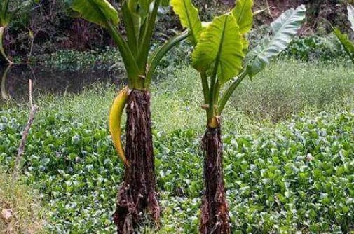 Cô con gái chia sẻ những bức ảnh phong cảnh mình chụp cho mẹ, mẹ cô tái mặt vì sợ hãi sau khi xem nó