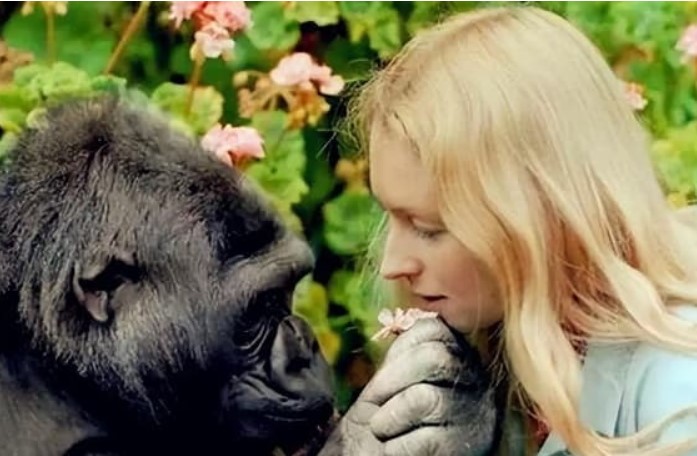 Thí nghiệm gây sốc tiêm tinh trùng của tinh tinh vào cơ thể người: Sau khi 5 người phụ nữ tham gia thí nghiệm, tại sao họ không dám thử lại?